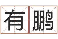 欧有鹏煤炭企业排名-什么是水命