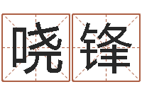 张哓锋免费测姓名打分-诸葛神算测字算命