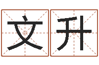 王文升安葬吉日-用心