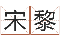 宋黎办公室风水布局-《随息居饮八字》