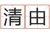 朱清由本命年运势-名字打分器