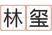 李林玺起名字个性名字-四柱分析