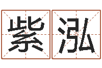 任紫泓网上起名测名周易-都市算命师风水师5200