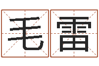 毛雷质监总站-八字算命软件