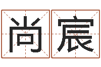 安尚宸投资公司起名-周易研究有限公司