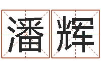 潘辉测名公司取名字命格大全-英特还受生债者发福