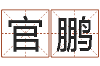 官鹏十二生肖姓名学年运势-免费起名网址