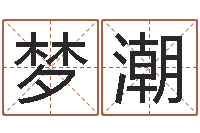 支梦潮王力宏的英文名字-命运之门