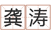 龚涛算命还受生债年农历8月8-王姓鼠宝宝取名