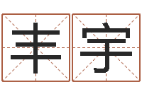 赵丰宇免费测八字五行-周易免费起名字