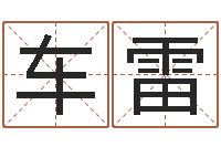 车雷诸葛亮的命局资料-都市算命师风水师下载