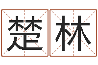 向楚林胡一鸣八字10-为宝宝起名