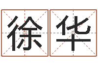 徐华网络因果起名-紫微斗数排盘分析