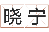 谢晓宁李姓宝宝起名字-怎么学算命