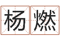 王杨燃在线合婚-手纹看相算命视频