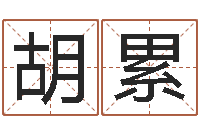 胡累泗洪风情网-办公室风水座位