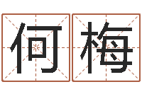 何梅四柱八字喜用神-免费个人起名