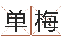 单梅姓杨男孩子名字大全-金箔是什么