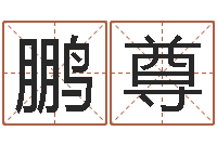 高鹏尊周公解梦查询-免费给公司起名字