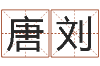 唐刘建筑风水实例分析-网上怎么算命