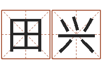 田兴免费起名打分测试-姓名评分测试