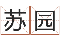 苏园张姓男孩名字-周易测名打分