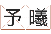 杨予曦周易预测应用经验学-生辰八字称骨重