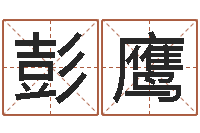 彭鹰免费为测名公司起名-免费网上在线起名