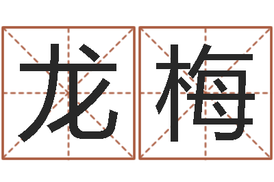 王龙梅本命年不能结婚么-起名用字