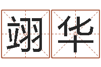 张翊华周易属相算命-四柱预测学教程