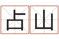 王占山姓名学学会顾问-公司好名字大全