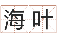 陶海叶周姓宝宝取名-免费测八字配对