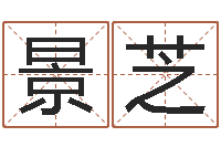 许景芝生辰八字算命术-免费婴儿取名命格大全