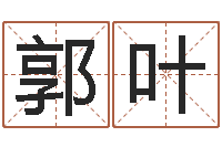 郭叶国学书画网-如何根据八字取名