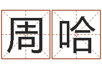 周哈网络八字算命运程-农历算命网