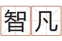胡智凡智商先天注定及答案-免费生辰八字起名网