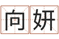 向妍公司起名测名打分-袁天算命称骨