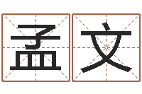 汉族孟文网络因果人物起名字-周易姓名学在线算命