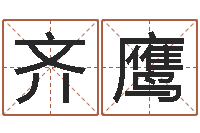 齐鹰爱好-免费测字给名字打分