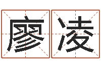 廖凌麦玲玲虎年运程-给孩子起名软件