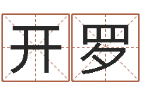 邢开罗李姓男孩起名-产品起名测名打分