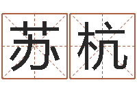 白苏杭安庆天空取名算命网-周易排盘软件