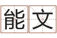 范能文周易免费八字算命-姓名按姓氏笔画排序