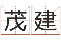 杨茂建站长免费算命-免费算命网