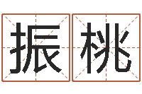 罗振桃地理改名-徐姓男孩起名大全