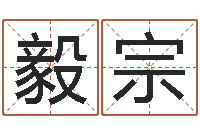 王毅宗风水学电子书下载-三藏免费起名