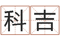 杨科吉生辰八字四柱算命-四柱清册