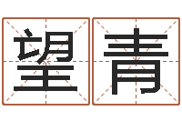 韩望青我最喜欢的经典作品-免费宝宝起名测名