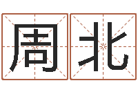 王周北华龙凤宝宝取名软件-起名网免费取名测名