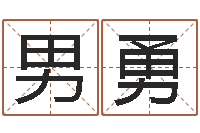 男勇八字预测软件-征途2国运拉镖